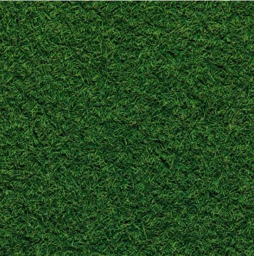 problems with artificial grass